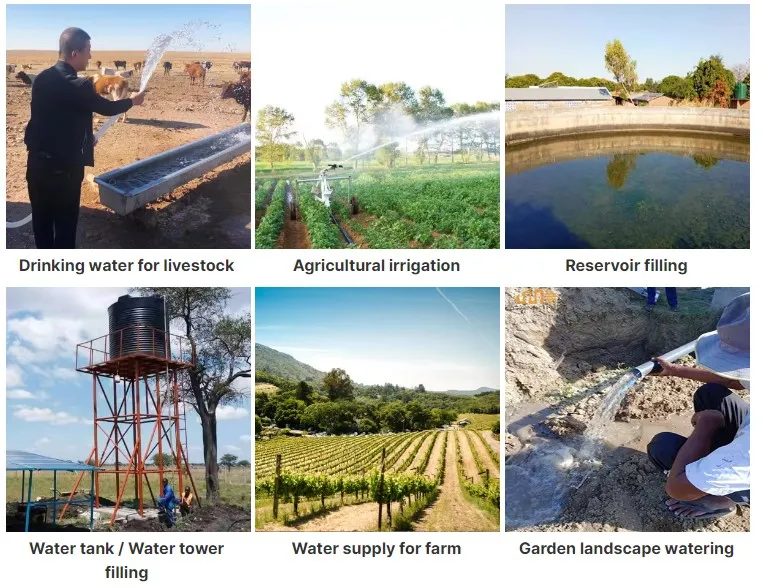 shallow well pump with pressure tank shallow well pump with pressure tank
